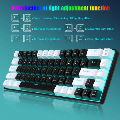 Glo 68 Keys Mechanical Keyboard Ergonomics RGB Backlit LED Hot Swappable Blue Switch Gaming Keyboard for PC Laptop Office