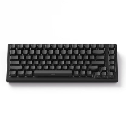 Akko TAC75 HE Magnetic Keyboard 75% Magnetic Switch Rapid Trigger 0.005mm ARGB 8K Polling Rate Wired Gamer Customized Keyboard