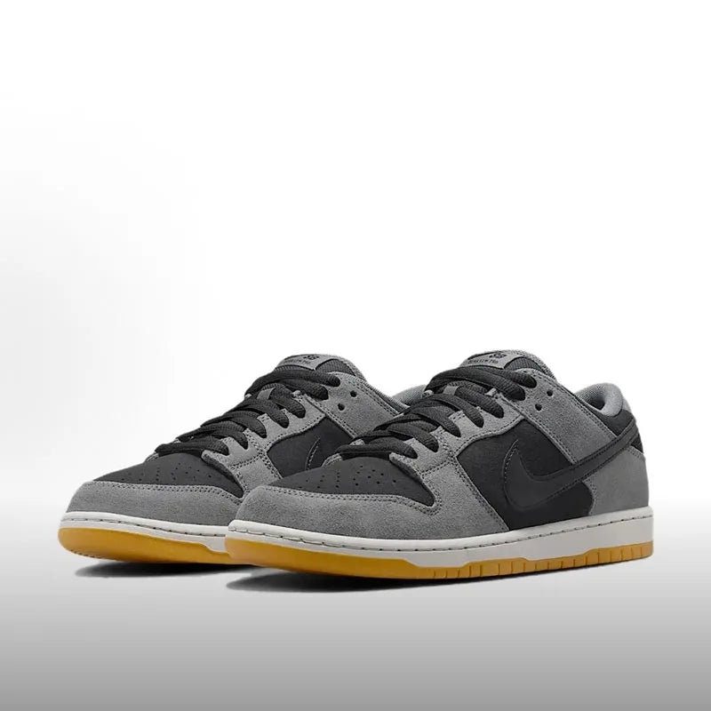 Nike Dunk SB – Adidași casual cu talpă joasă, la modă, versatili, cu confort premium, rezistenți și antiderapanti HF3063-001