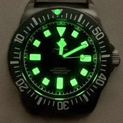 Titanium Case Tandorio 42mm Retro FXD NH35 PT5000 Mechanical Men's Watch Sapphire 200M Diver Watches Luminous Watches for Men
