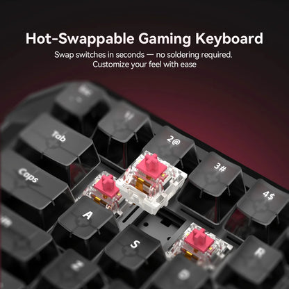 DarKBeacon RGB 87 Keys Compact TKL Keyboard USB Wired Hot-Swappable Silent Mechanical Keyboards for Windows Laptop PC Game Work