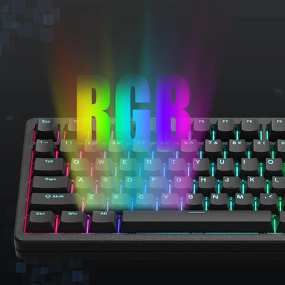 Womier SK75 TMR 75% Wireless Magnetic Mechanical Keyboard Tri-Mode Bluetooth/2.4G/USB-C Hot-Swap Rapid Trigger Aluminum Keyboard