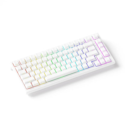 Akko TAC75 HE Magnetic Keyboard 75% Magnetic Switch Rapid Trigger 0.005mm ARGB 8K Polling Rate Wired Gamer Customized Keyboard