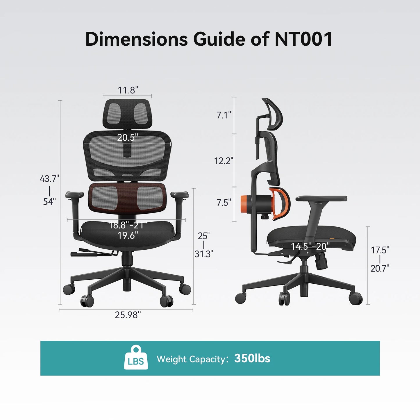 NEWTRAL NT001 Ergonomic Office Chair with Auto-Following Lumbar Support, Adjustable Headrest, 3D Armrest, Reclining Executive Desk Chair