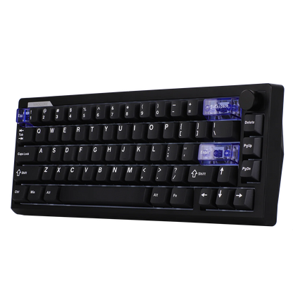 EPOMAKER Magcore65 Lite 65% US QWERTY Layout Wired/BT/2.4Ghz Wireless Mechanical Gaming Keyboard 8K Polling Analog Switch