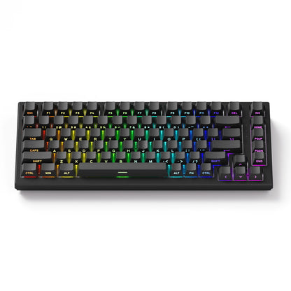 Akko TAC75 HE Magnetic Keyboard 75% Magnetic Switch Rapid Trigger 0.005mm ARGB 8K Polling Rate Wired Gamer Customized Keyboard