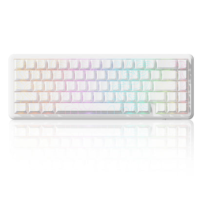 ATTACK SHARK X65 HE Magnetic Switch Rapid Trigger Keyboard, 65% Wired Gaming Keyboard with 8000 Hz Polling Rate