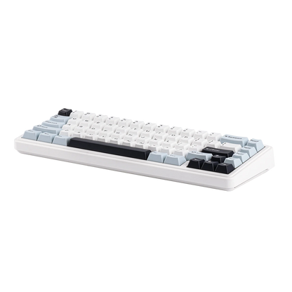 EPOMAKER x AULA F65 65% Layout Hot-Swap Gasket-mounted Wired/Bluetooth/2.4G Wireless Mechanical Keyboard for Mac/Win