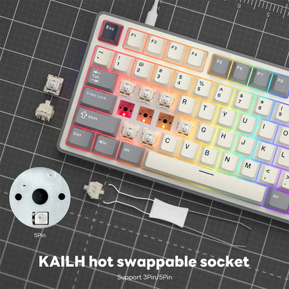RK Royal Kludge RK R87Pro Gasket Wired Gamer Keyboard Hot-swappable 88 Keys Mechanical Keyboard 88% RGB Backlit With PBT Keycaps