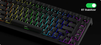 Akko TAC75 HE Magnetic Keyboard 75% Magnetic Switch Rapid Trigger 0.005mm ARGB 8K Polling Rate Wired Gamer Customized Keyboard